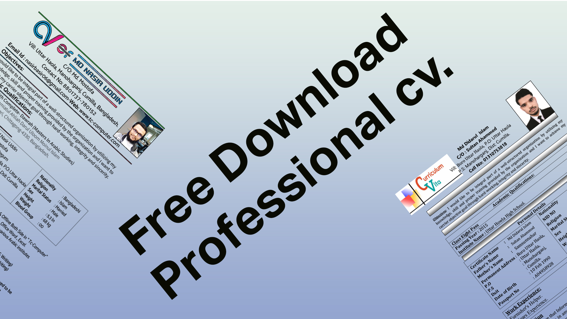 Free Download Professional cv. 2